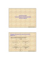 BANGKOK dec 2008 ECOTOXICOLOGY III FINAL + QUESTIONS