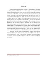 Nghiên cứu và hoàn thiện việc tối ưu hóa website httpvietnam-ads.com với máy tìm kiếm google