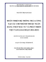 HOÀN THIỆN HỆ THỐNG TRẢ LƯƠNG TẠI CÁC CHI NHÁNH THUỘC NGÂN HÀNG TMCP ĐẦU TƯ VÀ PHÁT TRIỂN VIỆT NAM (GIAI ĐOẠN 20122015)