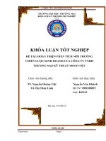 Hoàn thiện phân tích môi trường chiến lược kinh doanh Công ty TNHH Thương Mại Kỹ Thuật Minh Việt