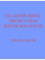 Các loại buồng tiêm mẫu (injector) và đầu dò (detector) trong sắc ký khí