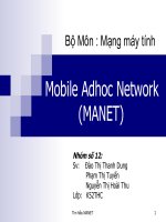 Tiểu luận Mạng máy tính tìm hiểu Mobile Adhoc Network