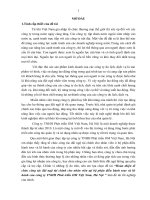 Hoàn thiện tổ chức công tác đãi ngộ tài chính cho nhân viên tại bộ phận điều hành tour và lữ hành của công ty TNHH Phát triển OM Việt Nam, Hà Nội