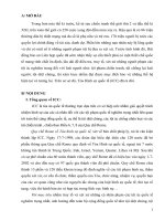 Tiểu Luận Thực tiễn hoạt động của tòa hình sự quốc tế(icc) và khả năng gia nhập của việt nam