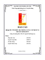 TÌM HIỂU hệ THỐNG CUNG cấp DỊCH vụ TRUYỀN HÌNH IPTV