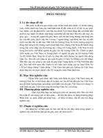 Chuyên đề bán phá giá da giày Việt Nam vào thị trường Châu Âu