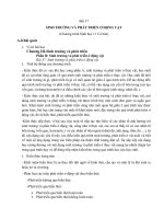 11 37 cơ bản sinh trưởng ở động vật