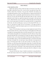 Giải pháp ngăn ngừa và giảm thiểu rủi ro kinh doanh của công ty cổ phần Gas Petrolime