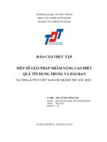 Báo cáo thực tập_một số giải pháp nâng cao hiệu quả tín dụng tại ngân hàng nông nghiệp