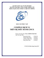 BÁO CÁO THỰC TẬP COMPILE DỊCH VỤ TRÊN HỆ ĐIỀU HÀNH LINUX