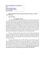 Hoàn thiện triển khai chiến lược kinh doanh của công ty CP đầu tư TM và PTCN FSI