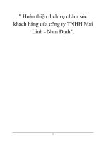 Hoàn thiện dịch vụ chăm sóc khách hàng của công ty TNHH Mai Linh - Nam Định