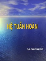 Chuyên đề về hệ tuần hoàn