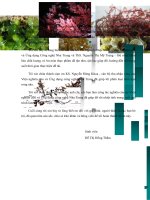 Khảo sát hàm lượng fucoidan từ một số loài rong nâu phổ biến ở Khánh Hòa”