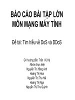 BÁO CÁO BÀI TẬP LỚN MÔN MẠNG MÁY TÍNH Tìm hiểu về DoS và DDoS