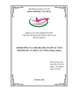 Ảnh hưởng của chế độ cho ăn lên sự tăng trưởng bù cá thát lát còm