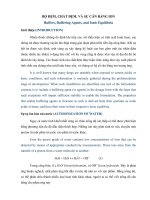 BỘ đệm, CHẤT đệm, và sự cân BẰNG ION