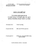 Tái sinh hợp kim Pb-Sb và bột hoạt từ phế liệu ắc-quy bằng phương pháp thủy luyện