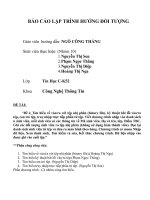 BÁO CÁO LẬP TRÌNH HƯỚNG ĐỐI TƯỢNG Tìm hiểu về vàora với tệp nhị phân (binary file),