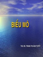 Chuyên đề về biểu mô