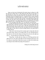 Lập trình window Thiết kế phần mềm quản lý tiền điện tiêu thụ của một xã