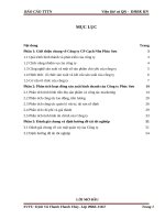 Phân tích và nâng cao sản lượng tiêu thụ của Công ty Phúc Sơn