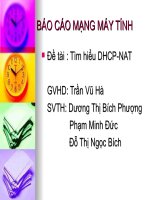 Báo cáo mạng máy tính và lập trình mạng Tìm hiểu về DHCP-NAT