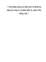 Giải pháp nâng cao hiệu quả sử dụng lao động tại công ty cổ phần đầu tư  phát triển Rồng Việt