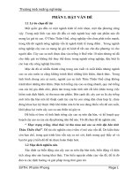 Thực trạng trồng, khai thác và thu mua mủ cao su trên địa bàn tỉnh Thừa Thiên Huế