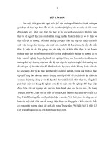 GIẢI  PHÁP PHÁT TRIỂN CÁC CÔNG CỤ QUẢNG CÁO TRỰC TUYẾN TẠI WEBSITE PNH.COM.VN CỦA TRUNG TÂM ĐÀO TẠO QUẢN TRỊ MẠNG CAO CẤP PNH