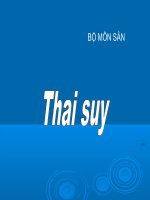 Bài giảng nghiên cứu về thai suy