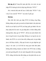 Tiểu Luận Trong thời gian gần đây, các nước xin gia nhập WTO thường bị đòi hỏi đáp ứng điều kiện WTO+ Hỏi Anh