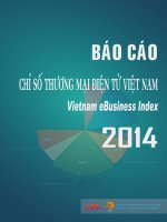 Báo cáo chỉ số thương mại điện tử Việt Nam EBI 2014