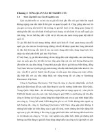 Giải pháp hạn chế ảnh hưởng của tỷ giá hối đoái đến hoạt động nhập khẩu của công ty TNHH SamSung Electronics Việt Nam