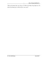 Phát triển thương hiệu của Công ty Cổ Phần Giải Pháp Công Nghệ Cao Tia Chớp Việt thông qua các điểm tiếp xúc trực tuyến