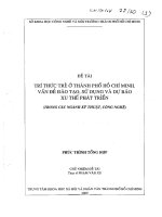 Tri thức trẻ ở Thành phố Hồ Chí Minh.Vấn đề đào tạo, sử dụng và dự báo xu thế phát triển