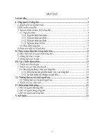 Tiểu luận: Sống thử và những hệ lụy của sống thử