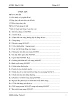 Tiểu luận Mạng máy tính tìm hiểu Mobile Adhoc Network