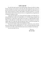 Khai thác các dịch vụ quảng cáo qua mạng xã hội Facebook của Công ty cổ phần Tập đoàn Truyền thông và công nghệ Nova