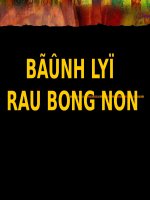 slide bệnh lý rau bong non