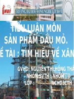 Tiểu luận môn Sản phẩm dầu mỏ: Tìm hiểu về xăng