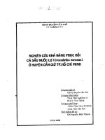 Nghiên cứu khả năng phục hồi cá sấu nước lợ huyện Cần giờ Tp.Hồ Chí Minh