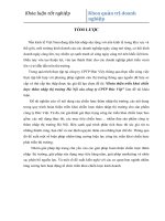 Hoàn thiện triển khai chiến lược thâm nhập thị trường Hà Nội của công ty CPTP Đức Việt