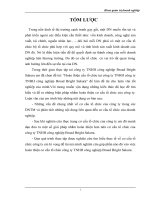 hoàn thiện cơ cấu tổ chức của công ty TNHH công nghiệp Broad Bright Sakura