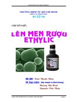 CHUYÊN ĐỀ LÊN MEN RƯỢU ETHYLIC