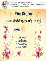 các chất độc từ khí H2S và CO