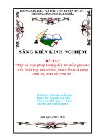 SKKN Một số biện pháp hướng dẫn trẻ mẫu giáo 4-5 tuổi phối hợp màu nhằm phát triển khả năng cảm thụ màu sắc cho trẻ
