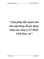 Giải pháp đẩy mạnh tiêu thụ mặt hàng đồ gia dụng nhựa tại công ty Cổ Phần XNK Hoà An