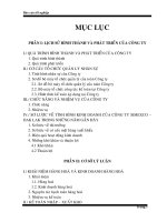 Kế toán kinh doanh hàng hóa và xác định kết quả kinh doanh tại công ty xuất nhập khẩu 2-9 Đăk Lăk