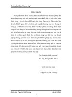 Hoàn thiện công tác xây dựng kế hoạch bán hàng tại Công ty TNHH nhà nước một thành viên Thực Phẩm Hà Nội